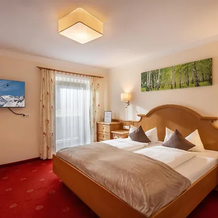 Hotel Garni Birkenhof Mayrhofen Exterior photo