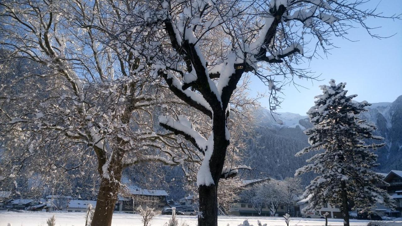 Garni Birkenhof 3* Mayrhofen